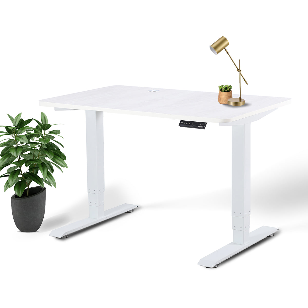 Business Office Standing Desk by EFFYDESK