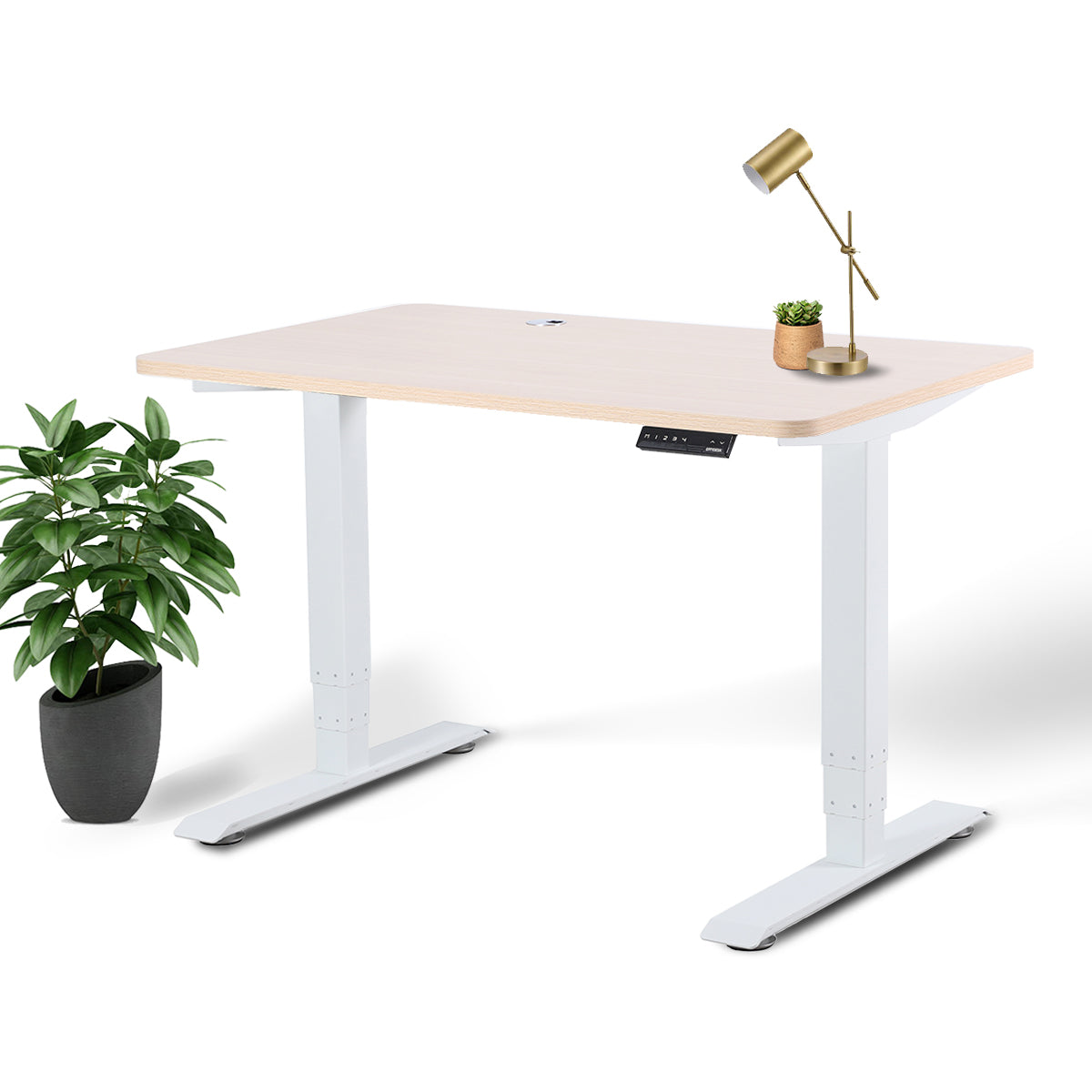 Business Office Standing Desk by EFFYDESK