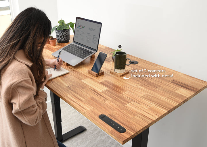 TerraDesk | Eco-Friendly Height-Adjustable Electric Standing Desk by EFFYDESK