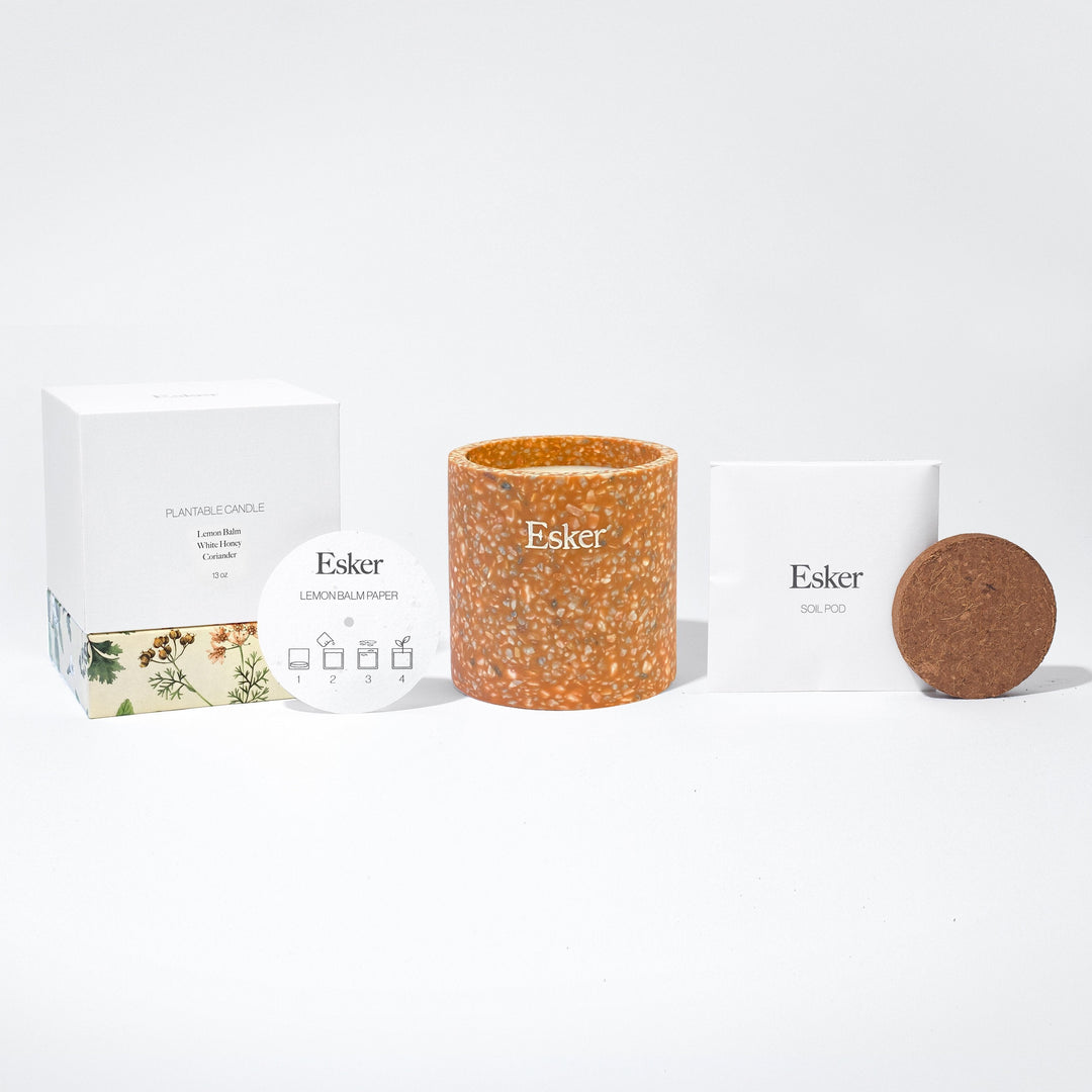 Terracotta Plantable Candle by Esker